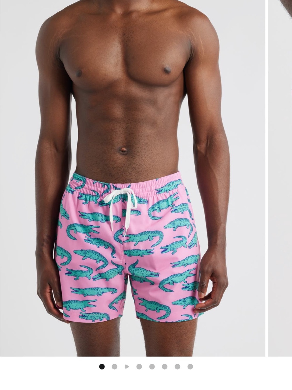 Chubbies The Glades Swim Trunks with Alligator Print